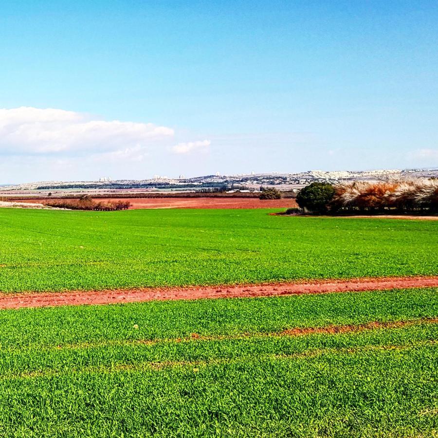 Kibbutz Nachshon Bed and Breakfast Exterior foto